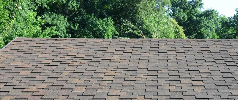 Roof Installation