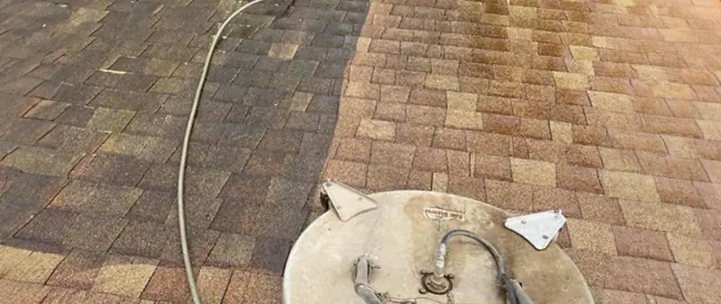 Roof Cleaning